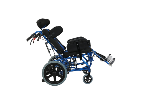 1683005519b_54514532-2